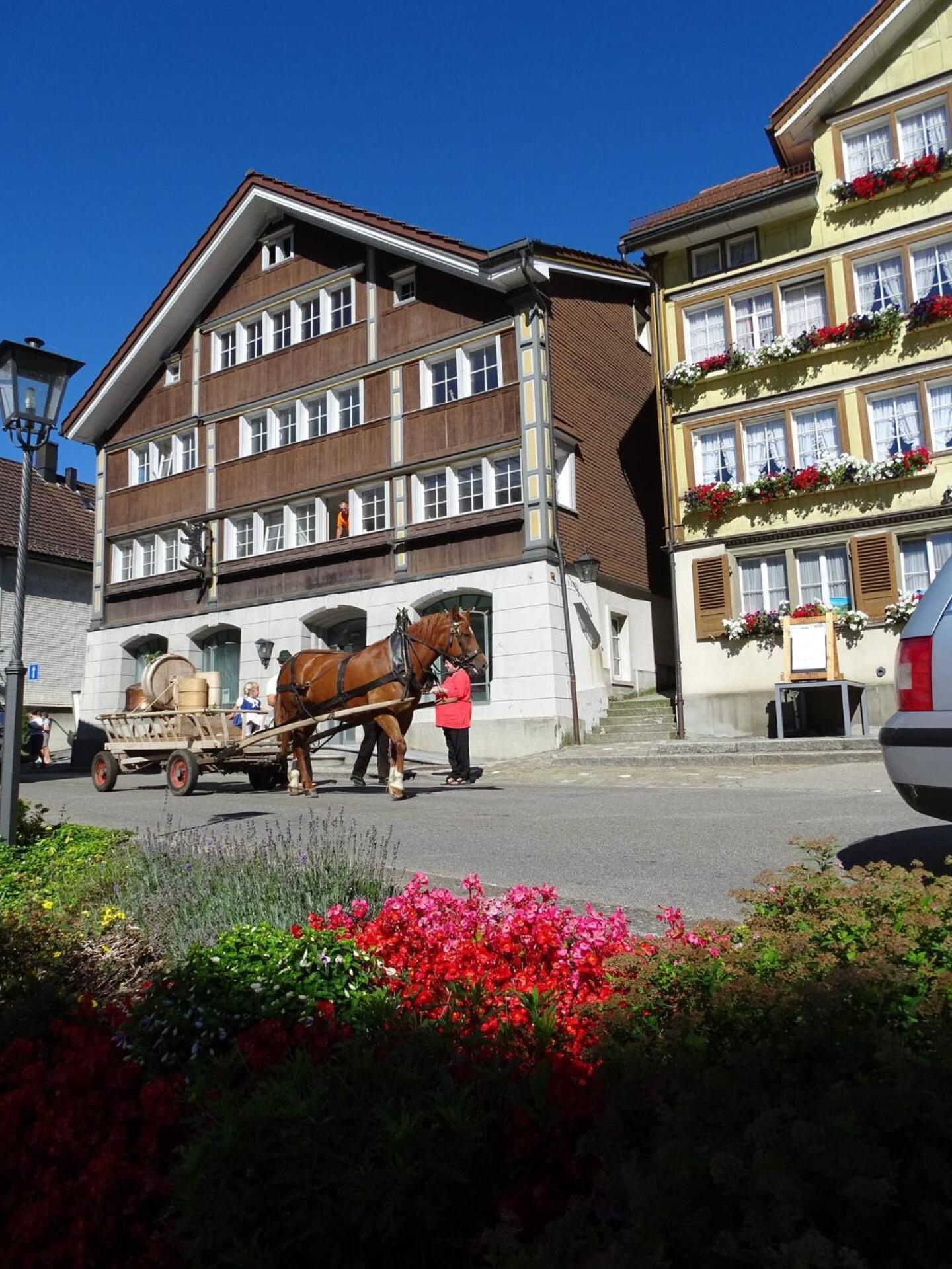 Alpen-Paradies Edelweiss Urnasch Bagian luar foto